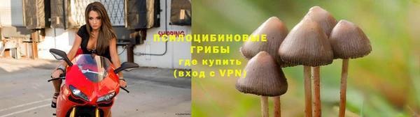спиды Алексин