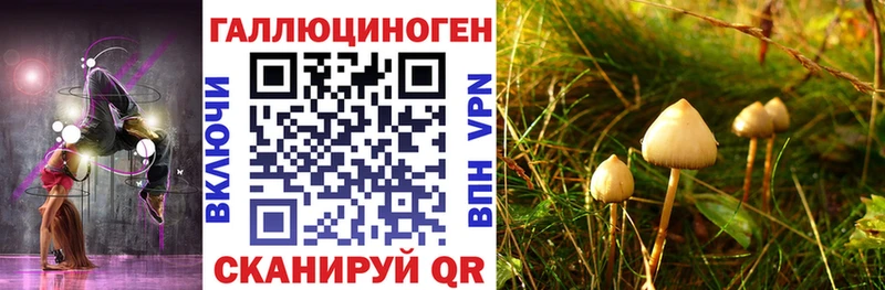 МЕГА как войти  Плавск  Псилоцибиновые грибы мухоморы 